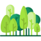 forest (1)